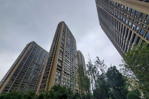 針織廠宿舍居住體驗與房產(chǎn)交易環(huán)境全解析